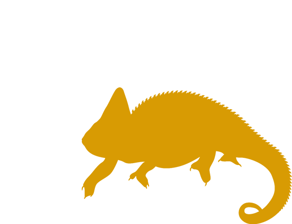 入力条件＋