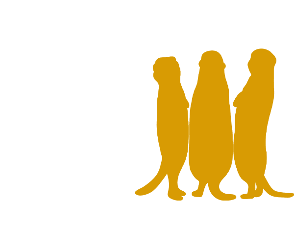 画像タイトル