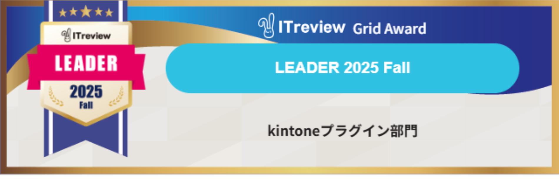 ITreview Grid Award 2025 Fall Leader
